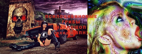 прущие грибы Нефтегорск