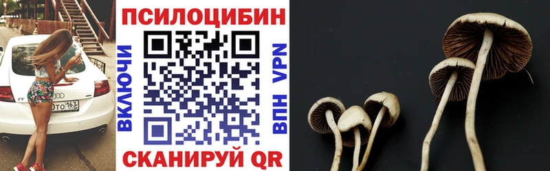 Галлюциногенные грибы Cubensis  хочу   Рыльск 